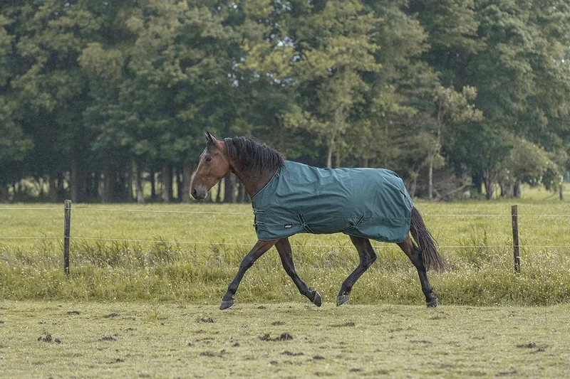 Regendeken Epplejeck Ejrindal 2.0 0gr - 105/135 von Epplejeck in Grün – Produktfoto