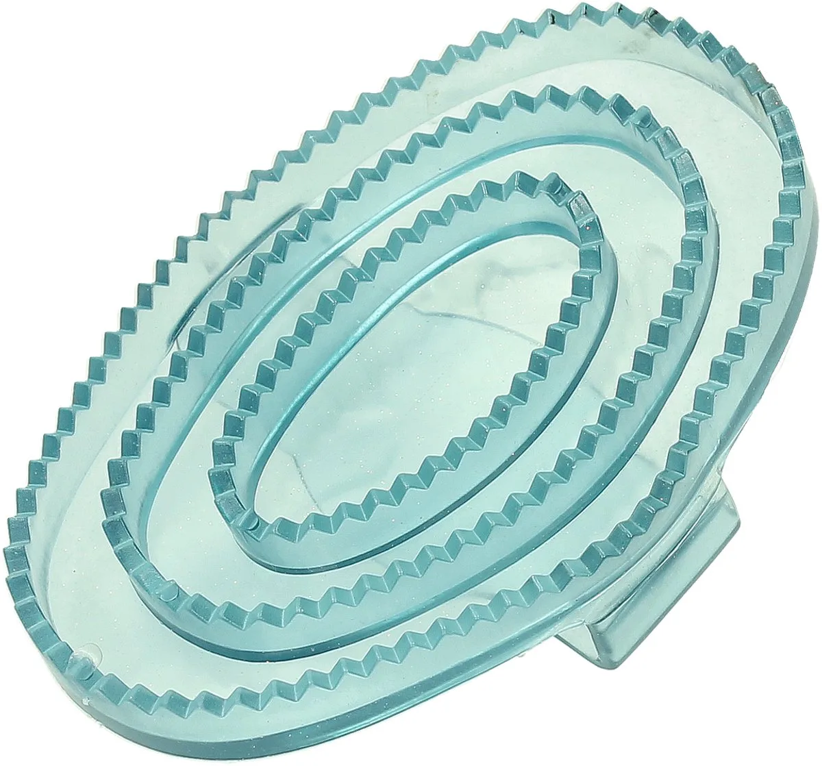 Rosborstel Epplejeck Shiny de Epplejeck en Bleu clair – photo produit