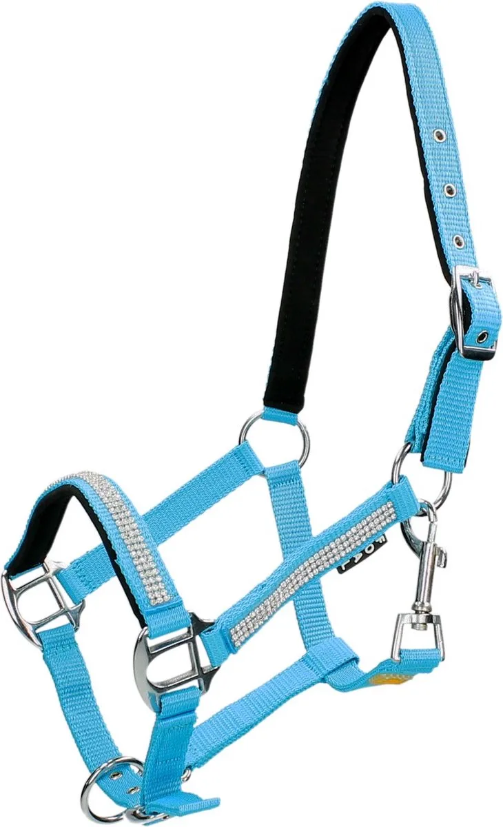 Veulenhalster Epplejeck Strass von Epplejeck in Hellblau – Produktfoto