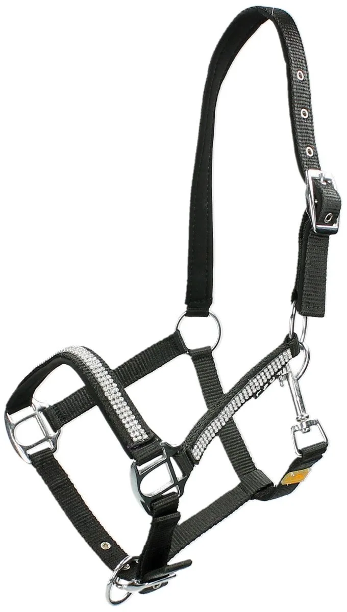Veulenhalster Epplejeck Strass von Epplejeck in Schwarz – Produktfoto