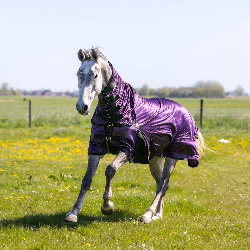 Vliegendeken Epplejeck Ejathletic 2.0 Full Neck - 130/175 de Epplejeck en Violet – photo produit