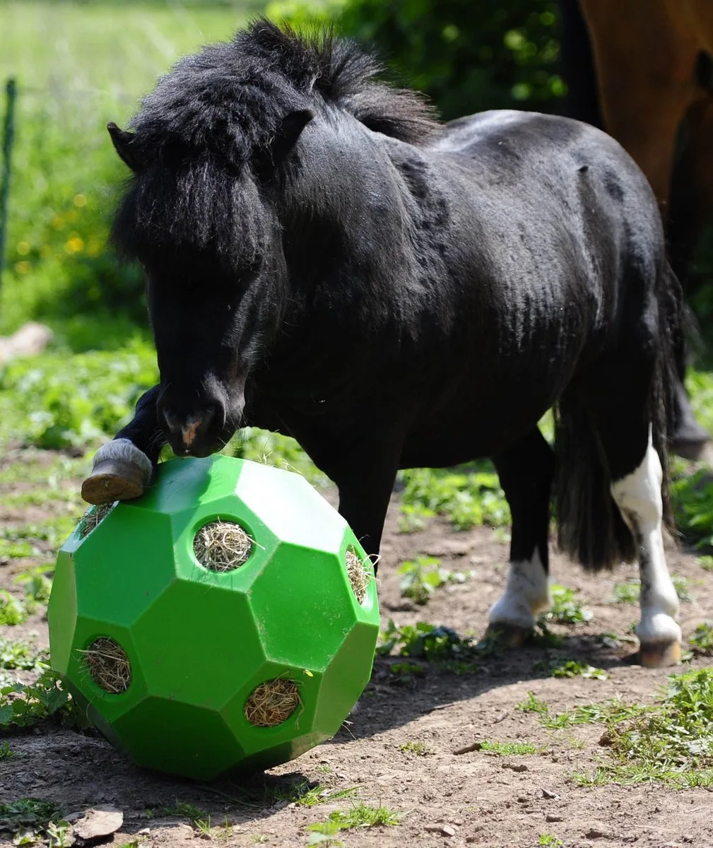 Voerbal Hay Play van Epplejeck in Groen – productfoto