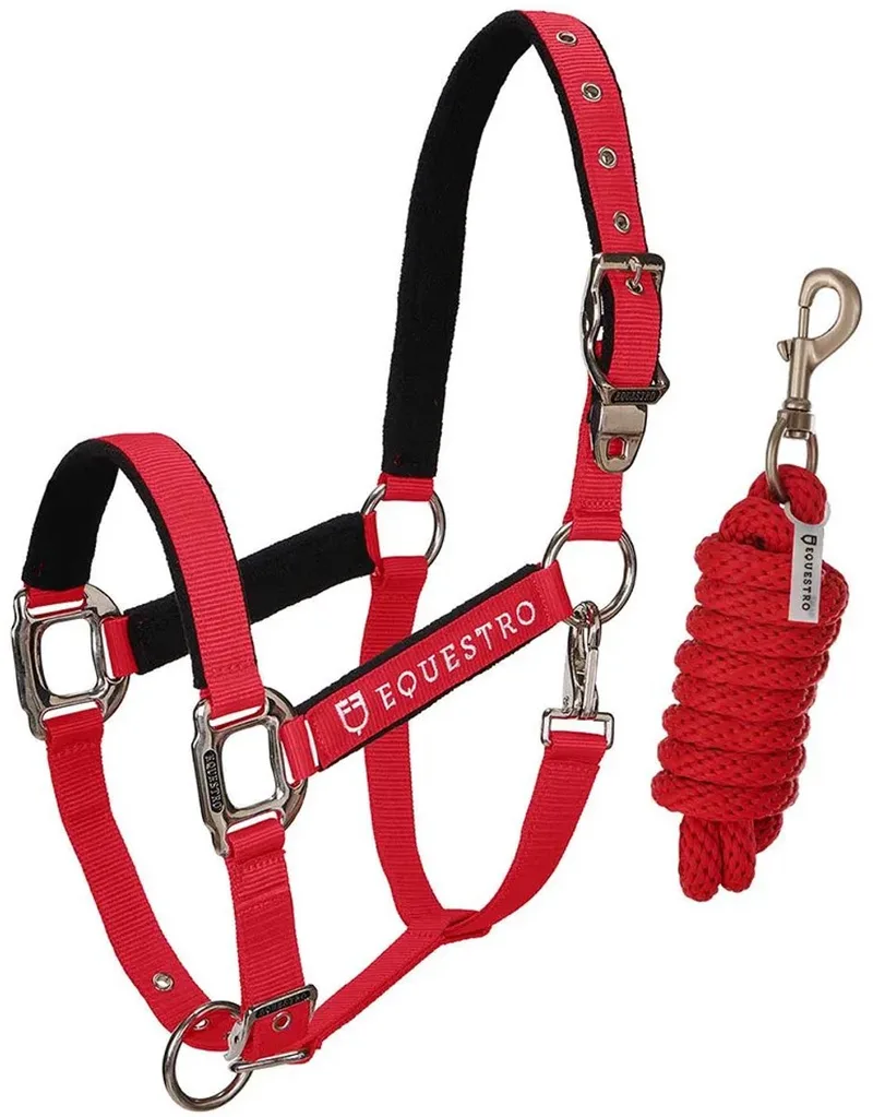 Shiny Fittings Halster En Halstertouw Rood Full von Equestro in Rot – Produktfoto