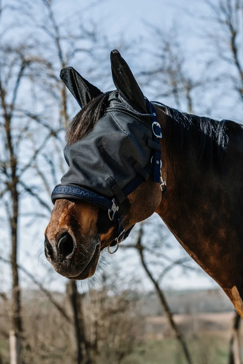 Anti-vliegen uv masker voor aan halster S - Vliegendeken von Equi-Theme – Produktfoto