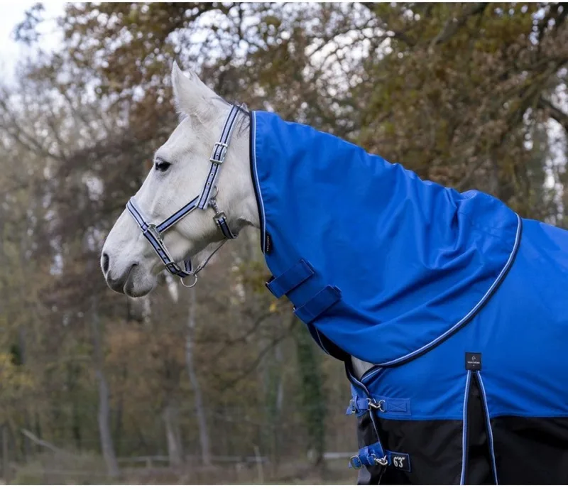Halsstuk Tyrex 1200D 0 GR Blue / Black - Pony - Regendeken | Halsstuk paard by Equi-Theme in Blue – product photo
