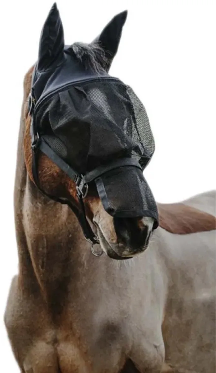 Mask Halster Zwart Cob de Equi-Theme en Noir – photo produit