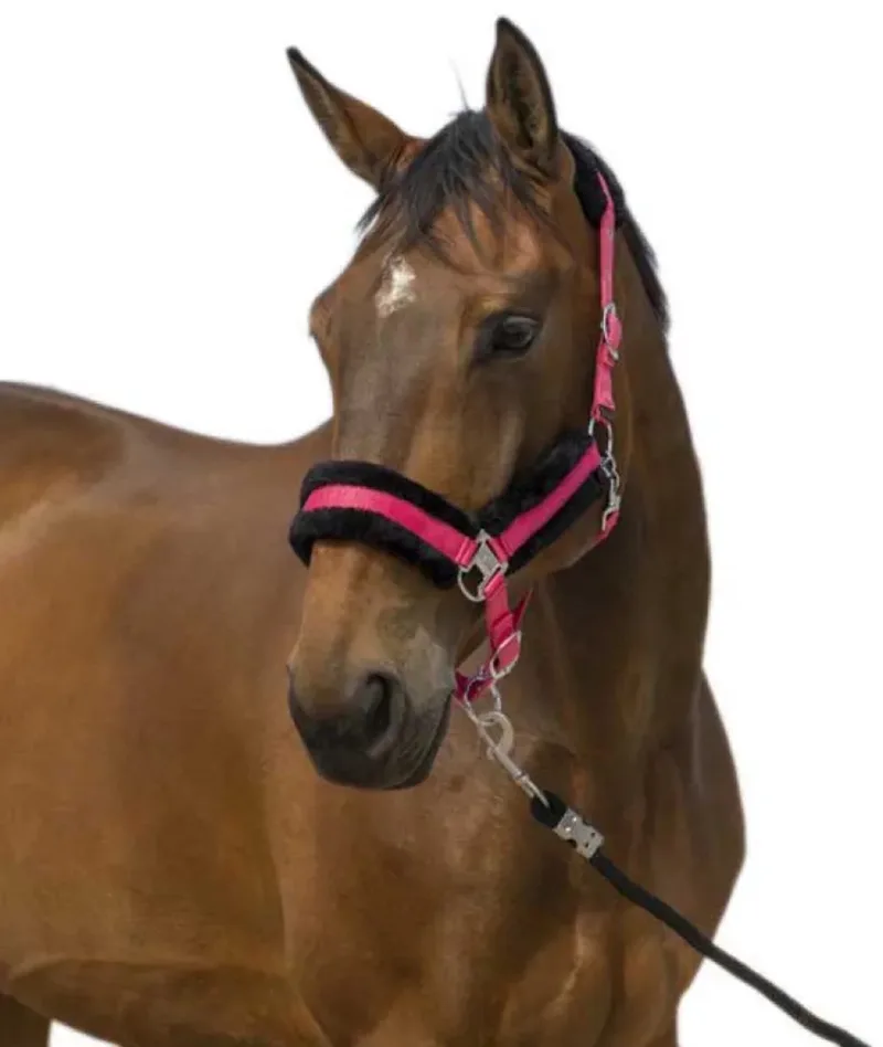 Mouton Nylon Halster Bruin Full by Equi-Theme in Pink, Black – product photo