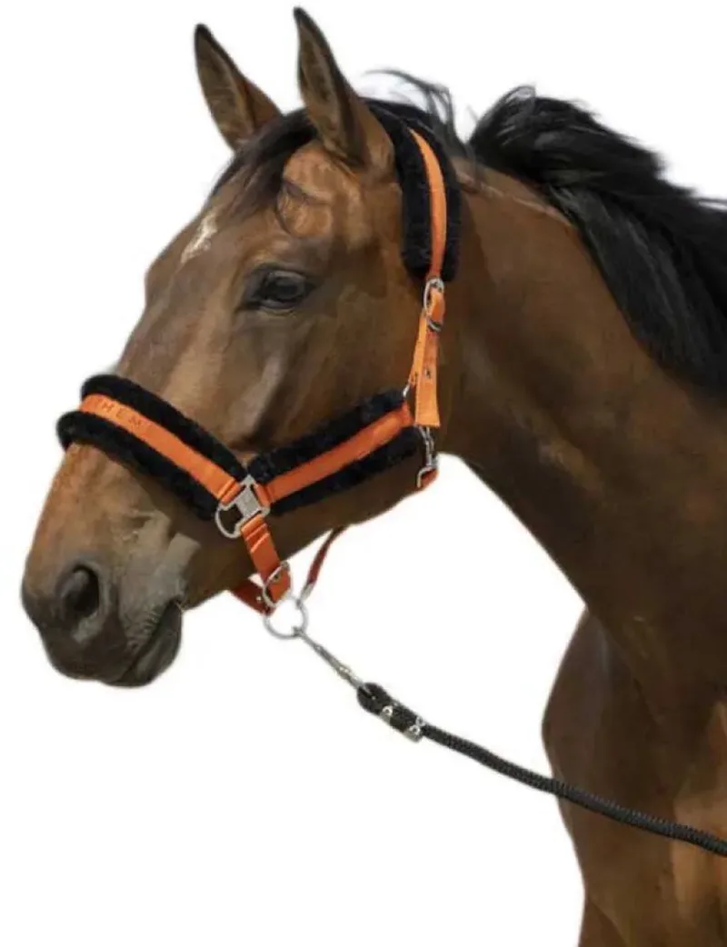 Mouton Nylon Halster Oranje Full von Equi-Theme in Orange, Schwarz – Produktfoto