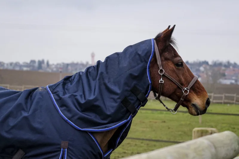 Neck Classic 1200DGrams: 0 gr - Navy - Cob - Regendeken | Halsstuk paard de Equi-Theme en Bordeaux – photo produit