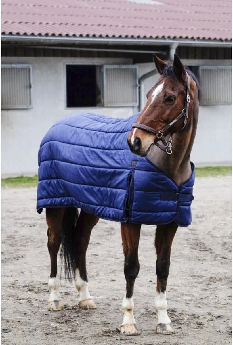 onderdeken navyGrams: 100 gr - 6.3/190 - Onderdeken de Equi-Theme en Bordeaux – photo produit