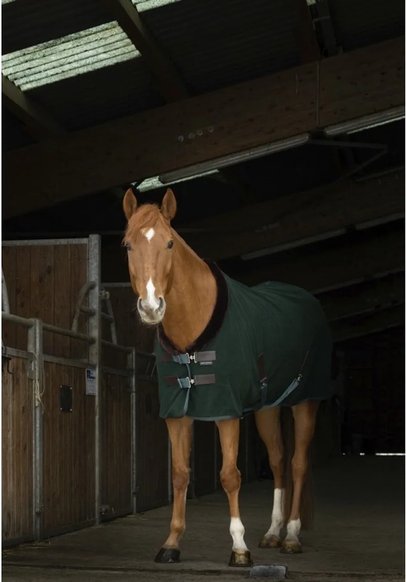 Polar Fleece deken Teddy Green - 190 (6.3) - Zweetdeken de Equi-Theme en Rouge – photo produit