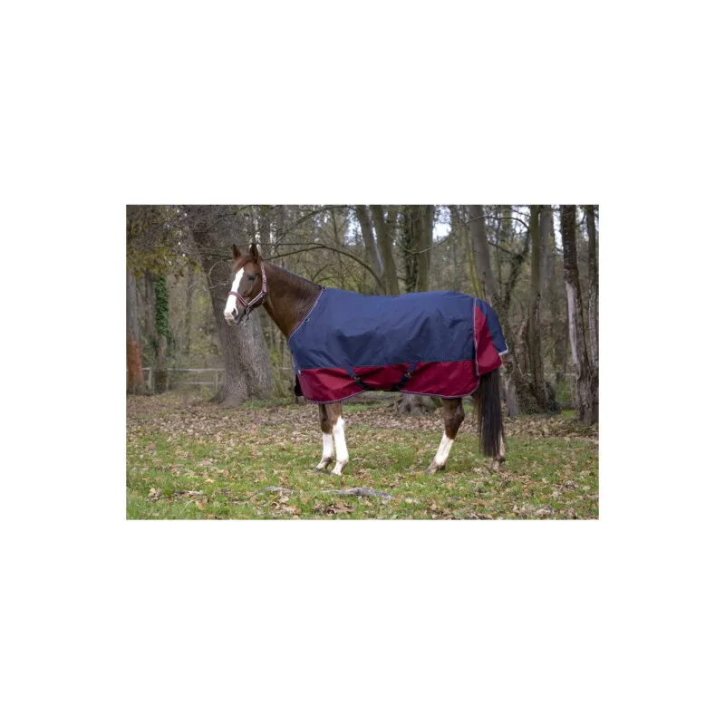 Regendecke 50 g 1200 Denier 1,25 m van Equi-Theme in Regular – productfoto