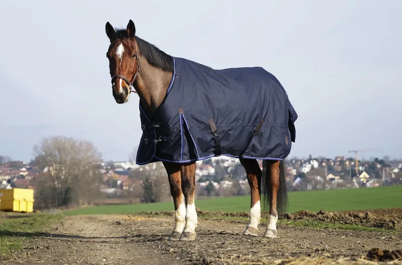 Regendeken Classic 1200DGrams: 0 gr - 6.9/205 - Regendeken de Equi-Theme en Bleu foncé – photo produit