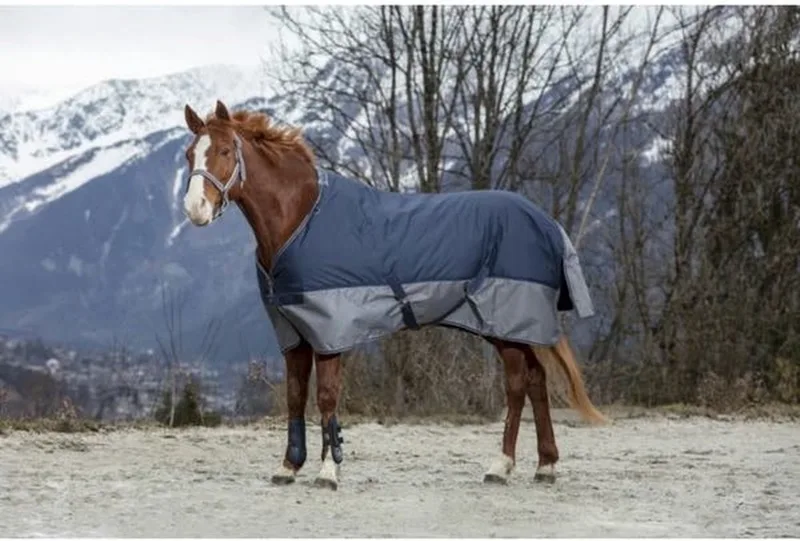 Regendeken Equithème Tyrex blue-grey 170 cm 0 gram by Equi-Theme in Blue, Grey – product photo