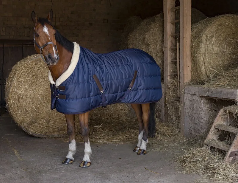 Staldeken Teddy Navy/Marine - 5.9 (175) - Regendeken von Equi-Theme in Bordeaux – Produktfoto