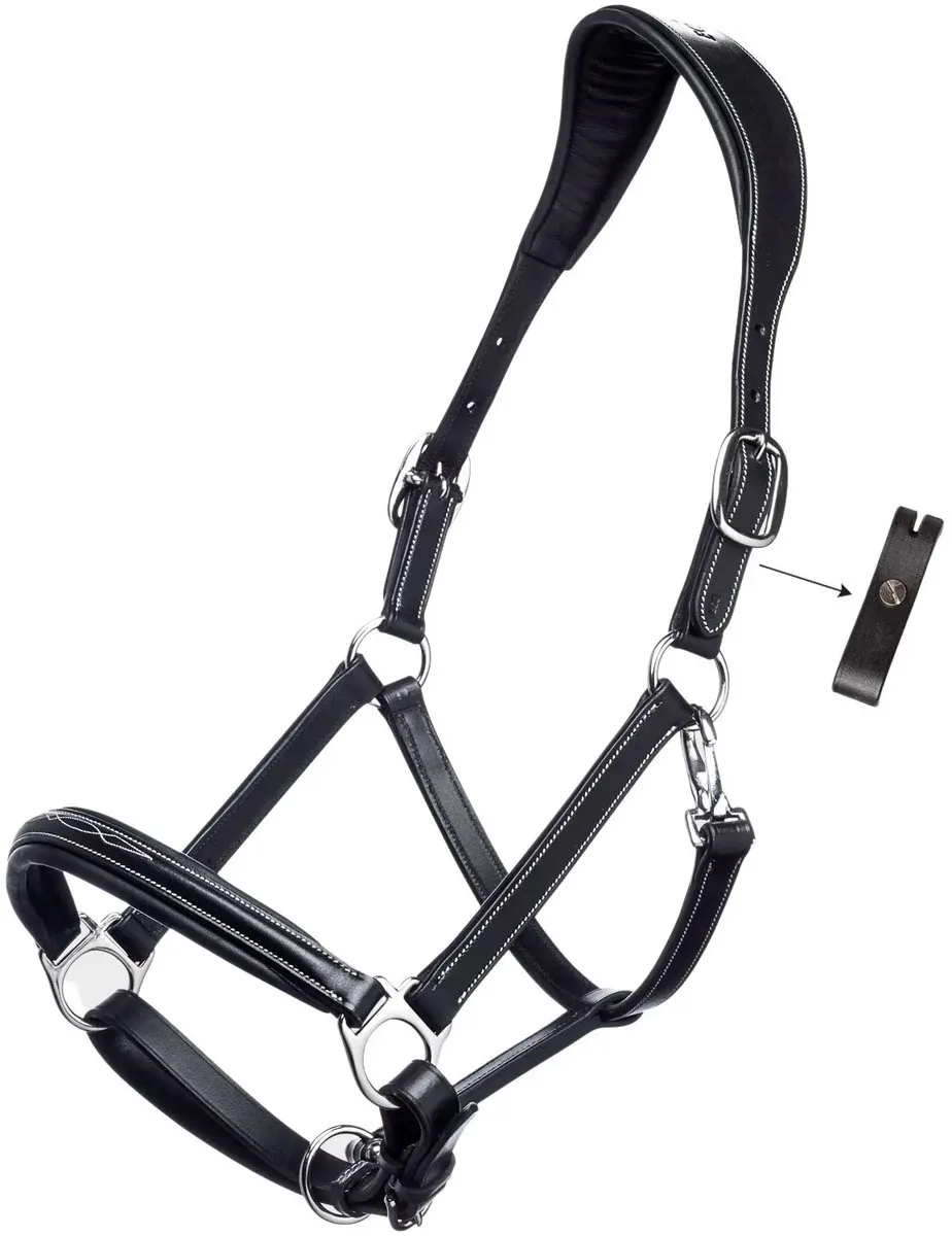 Anatomisch paardenhalster met dubbele lederen sluiting Equiline van Equiline in Zwart – productfoto