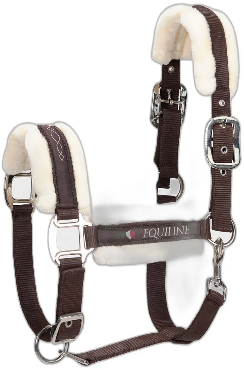 Halster voor paarden Equiline Tom by Equiline in Brown – product photo