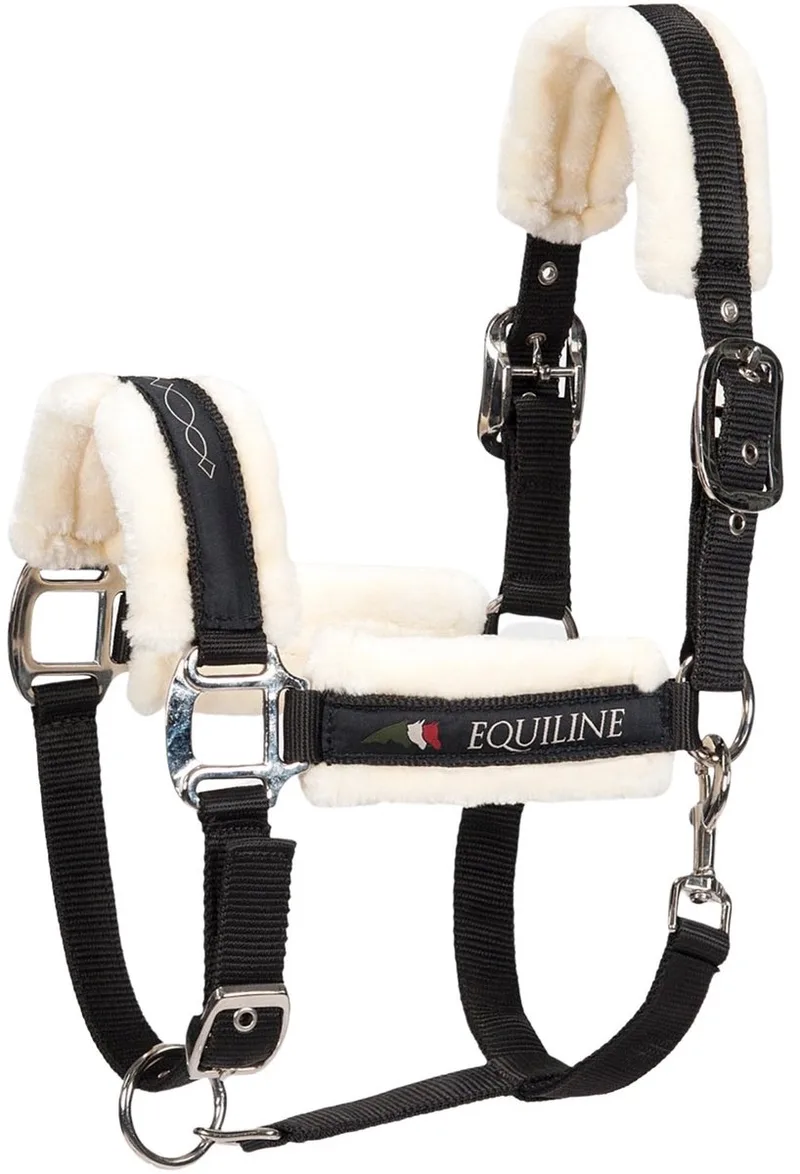 Halster voor paarden Equiline Tom von Equiline in Schwarz – Produktfoto
