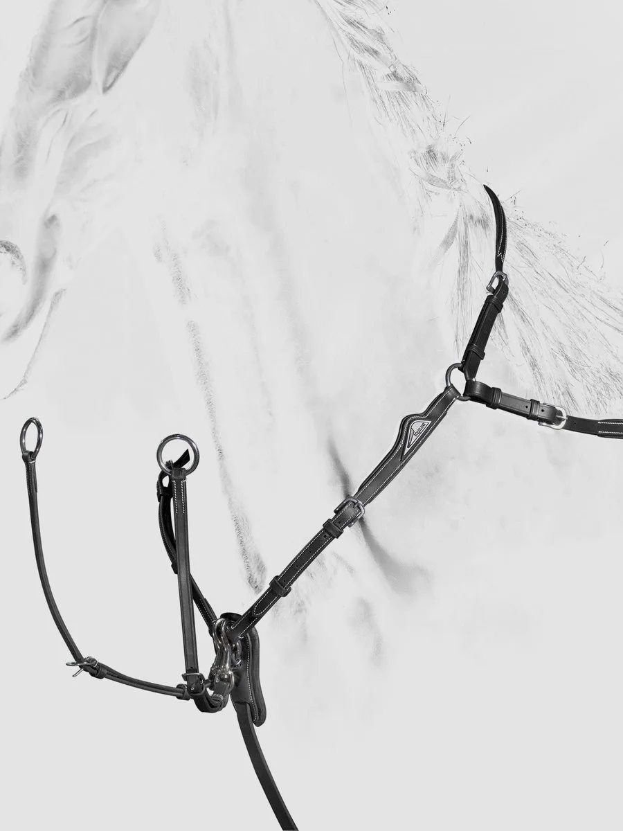 Jachthalsband voor paarden met afneembare martingaal Equiline van Equiline in Zwart – productfoto