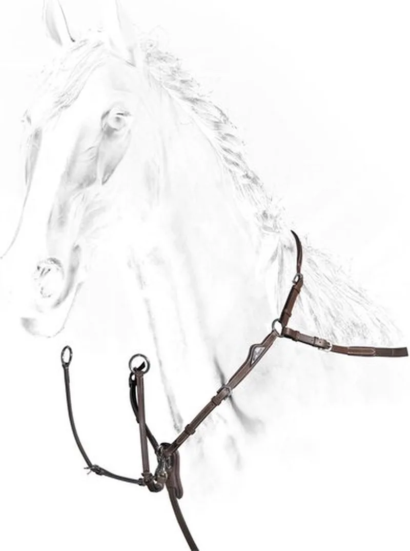 Voortuig Brown - Full | Teugels paard fra Equiline i Brun – produktbillede