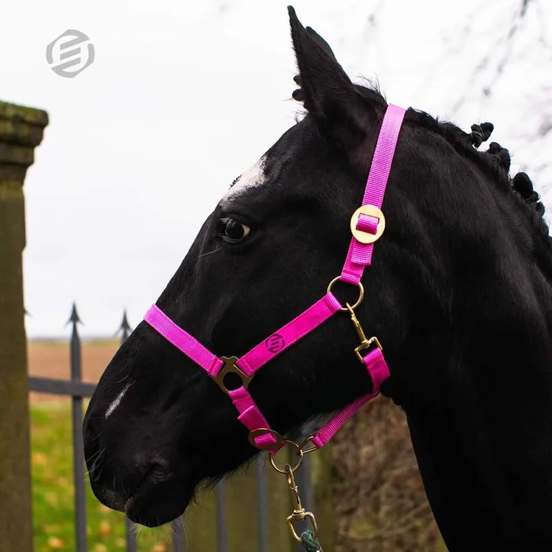 Hobby Horse Halster - Touwhalster - Hobbyhorsing - Halstertouw - Accessoires voor Hobby Horse de Equivera – photo produit
