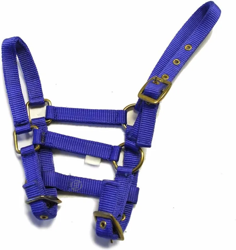 Hobby Horse Halster - Touwhalster - Hobbyhorsing - Halstertouw - Accessoires voor Hobby Horse de Equivera – photo produit