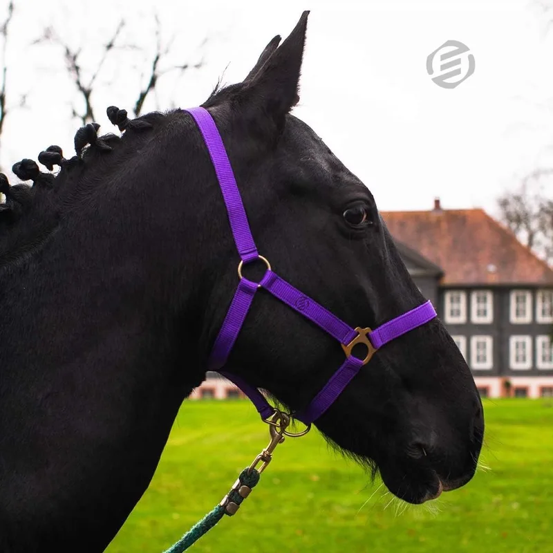 Hobby Horse Halster - Touwhalster - Hobbyhorsing - Halstertouw - Accessoires voor Hobby Horse de Equivera – photo produit