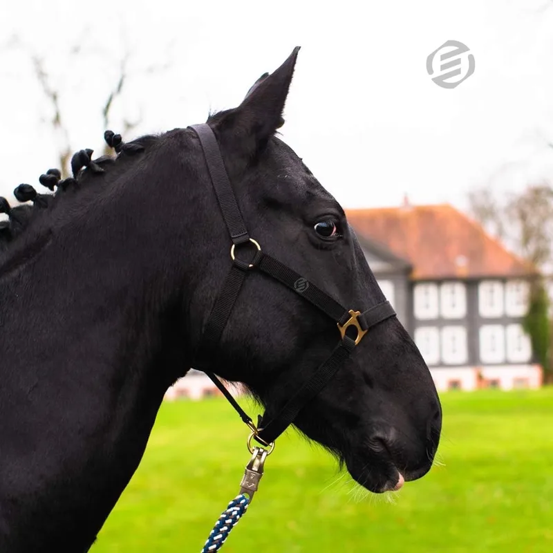 Hobby Horse Halster - Touwhalster - Hobbyhorsing - Halstertouw - Accessoires voor Hobby Horse by Equivera – product photo