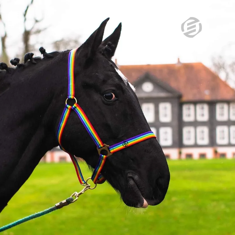 Hobby Horse Halster - Touwhalster - Hobbyhorsing - Halstertouw - Accessoires voor Hobby Horse de Equivera – photo produit