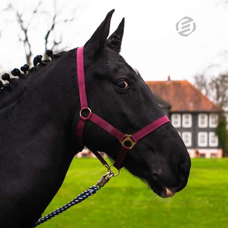 Hobby Horse Halster - Touwhalster - Hobbyhorsing - Halstertouw - Accessoires voor Hobby Horse de Equivera – photo produit