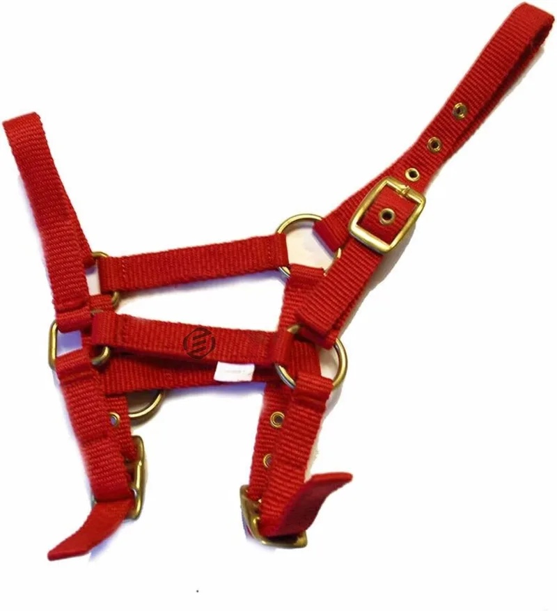 Hobby Horse Halster - Touwhalster - Hobbyhorsing - Halstertouw - Accessoires voor Hobby Horse by Equivera – product photo