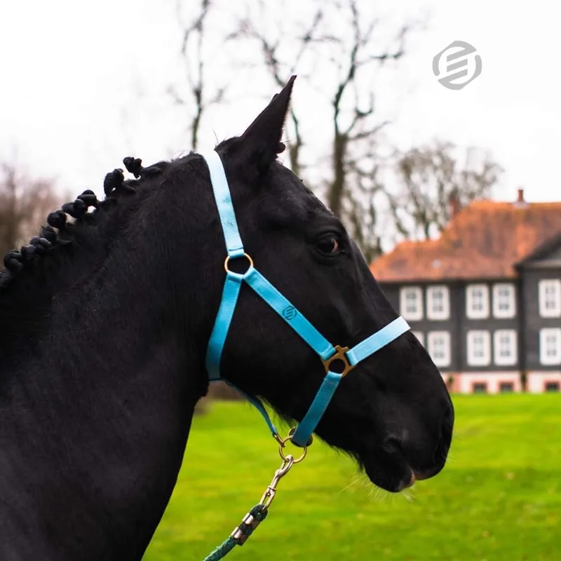 Hobby Horse Halster - Touwhalster - Hobbyhorsing - Halstertouw - Accessoires voor Hobby Horse de Equivera – photo produit