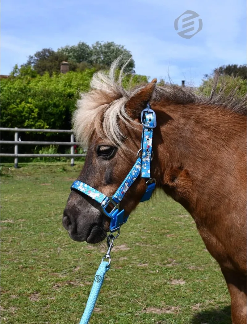 Hobby Horse Halster - Touwhalster - Hobbyhorsing - Halstertouw - Accessoires voor Hobby Horse by Equivera in Blue – product photo