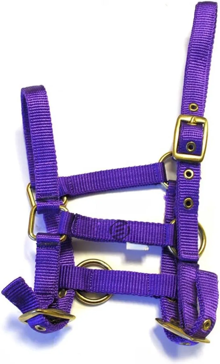 Hobby Horse Halster - Touwhalster - Hobbyhorsing - Halstertouw - Accessoires voor Hobby Horse de Equivera – photo produit