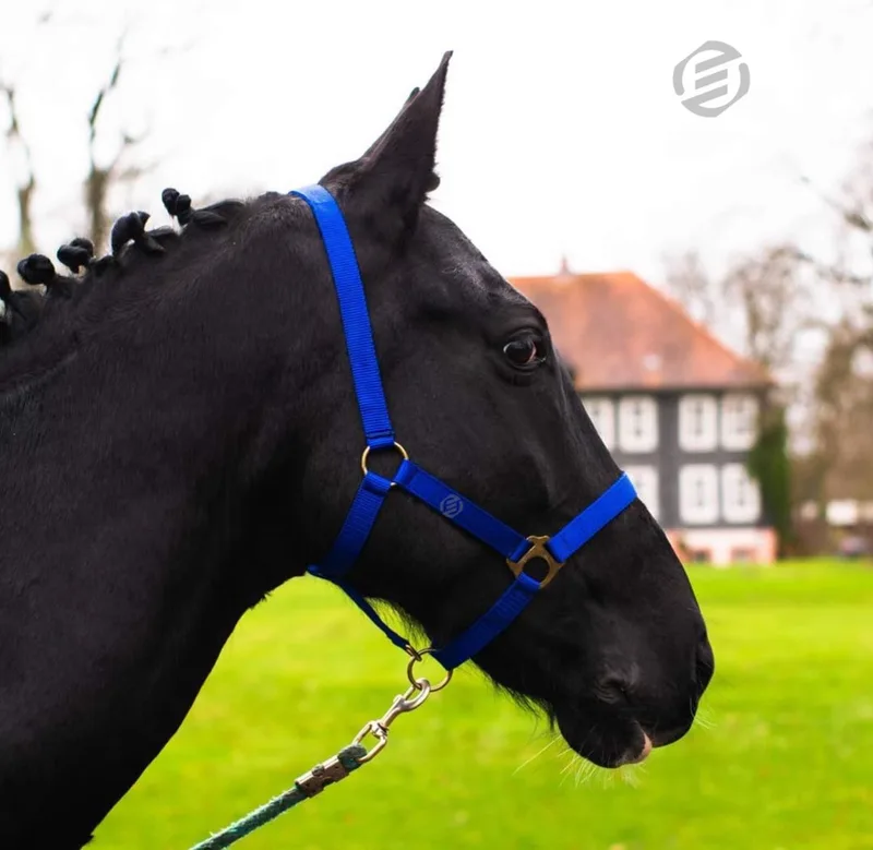 Hobby Horse Halster - Touwhalster - Hobbyhorsing - Halstertouw - Accessoires voor Hobby Horse by Equivera in Blue – product photo