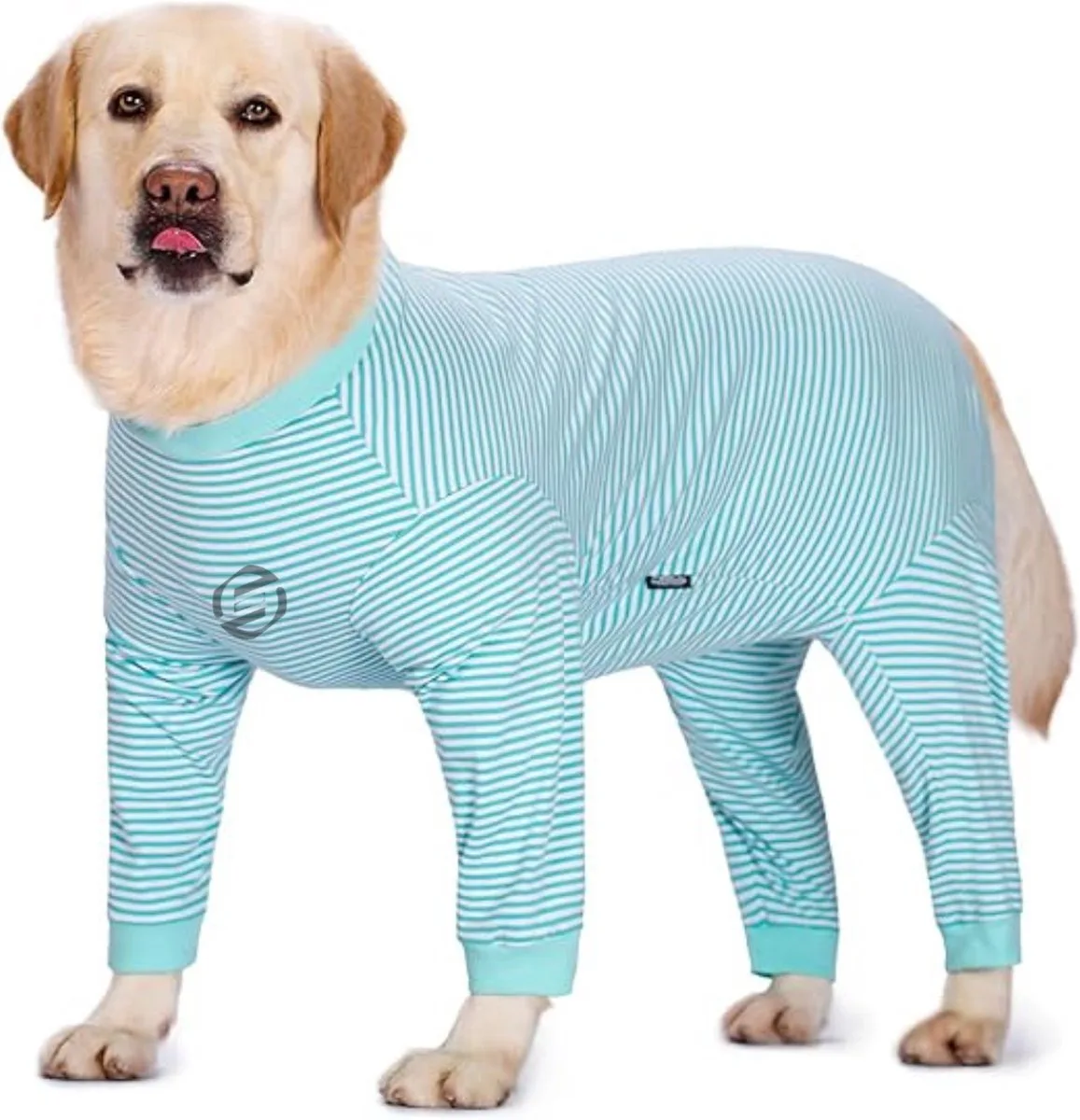 Honden Pyjama - Hondentrui - Honden Kleding - Hondenpyjama - Pyjama Voor Honden från Equivera i Turkos – produktbild
