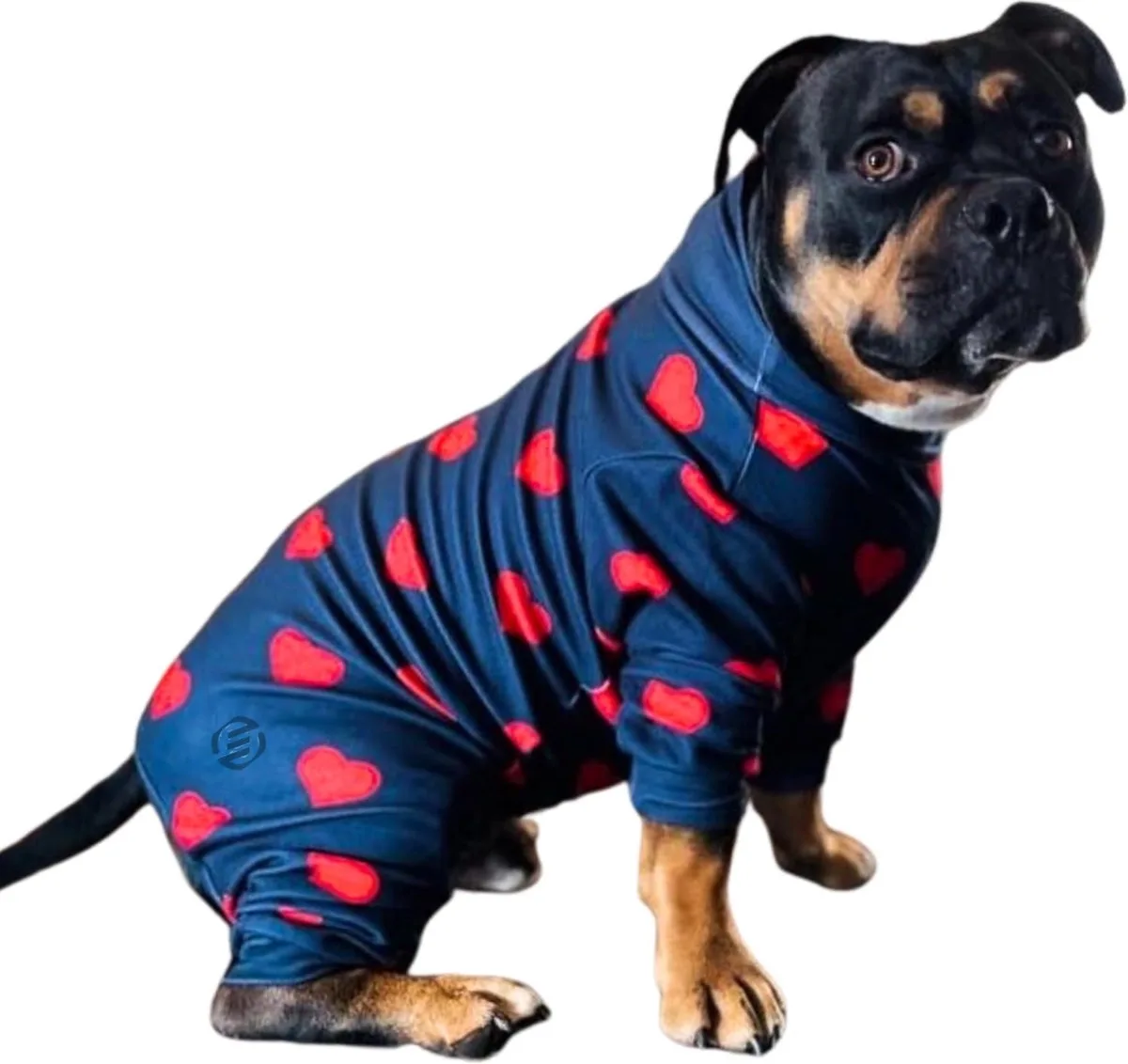 Honden Pyjama - Hondentrui - Honden Kleding - Hondenpyjama - Pyjama Voor Honden från Equivera i Blå, Röd – produktbild