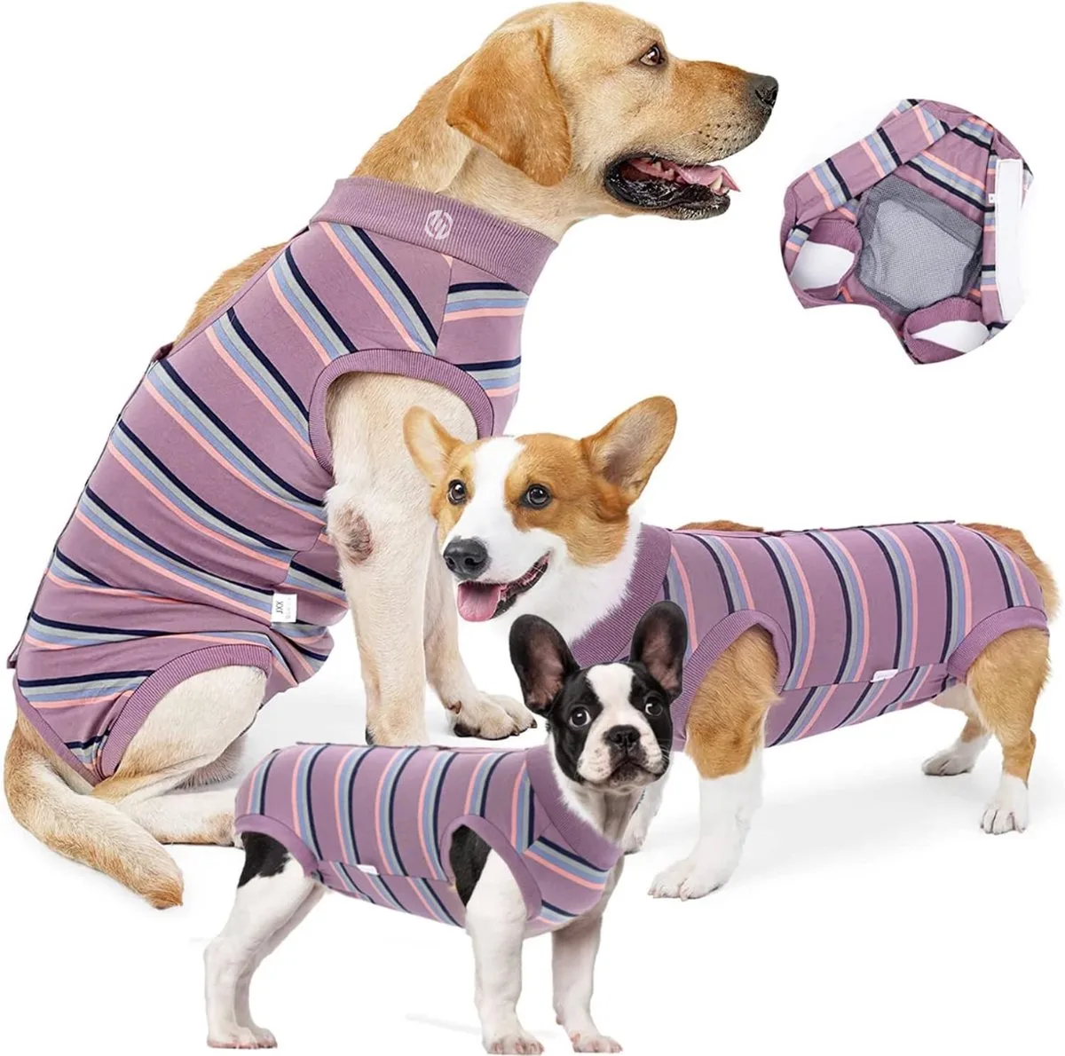 Honden Pyjama - Hondentrui - Honden Kleding - Hondenpyjama - Pyjama Voor Honden från Equivera i Lila – produktbild