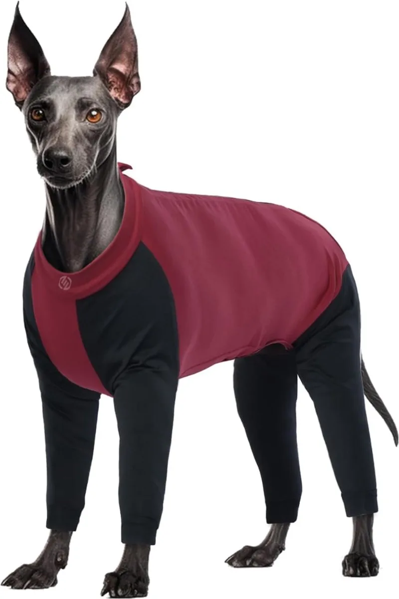 Honden Pyjama - Hondentrui - Honden Kleding - Hondenpyjama - Pyjama Voor Honden från Equivera i Röd – produktbild