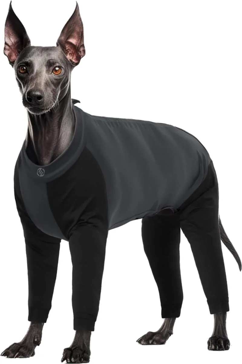 Honden Pyjama - Hondentrui - Honden Kleding - Hondenpyjama - Pyjama Voor Honden von Equivera in Grau – Produktfoto