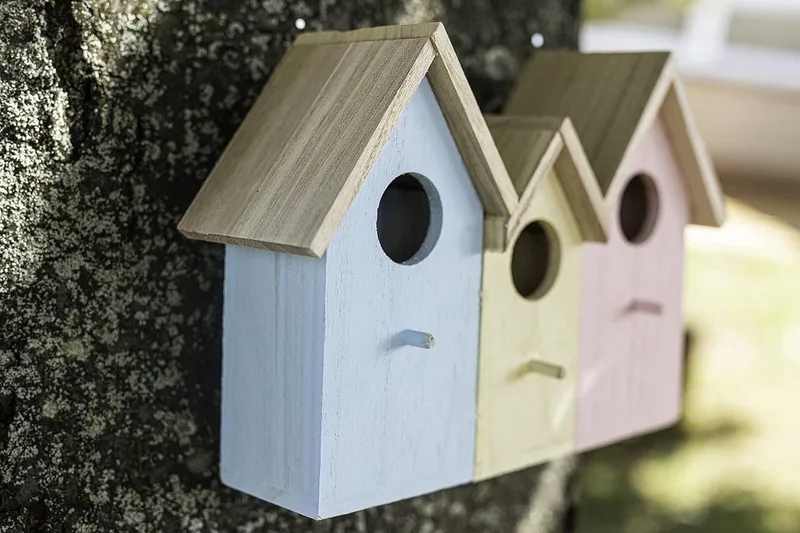 Lexium Vogelgeluiden Huisje met Sensor - Vogelgeluiden Huisje voor op Toilet - Vogelhuisje met Geluid - Singing Bird Box - Bewegingsmelder de Equivera en Bleu – photo produit