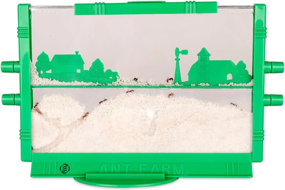 Mierenboerderij - Ant Farm - Mierennest - Mierenhuis - Mierenhotel - Mierenkolonie - Premium de Equivera en Vert – photo produit