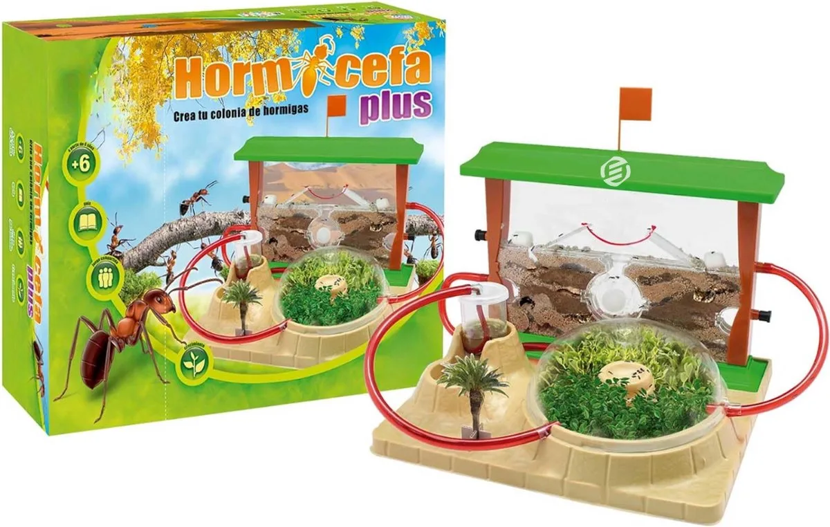 Mierenboerderij - Ant Farm - Mierennest - Mierenhuis - Mierenhotel - Mierenkolonie - Premium von Equivera in Grün – Produktfoto