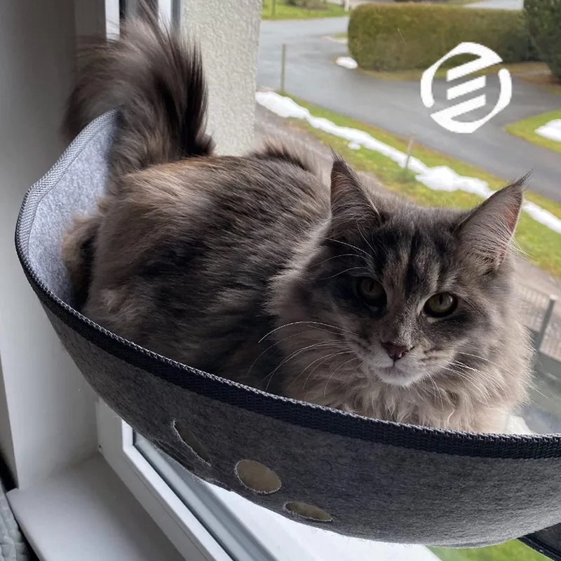 Vensterbank Kussen Kat - Hangmat Kat - Kattenmand Raam - Windowchiller de Equivera en Gris – photo produit