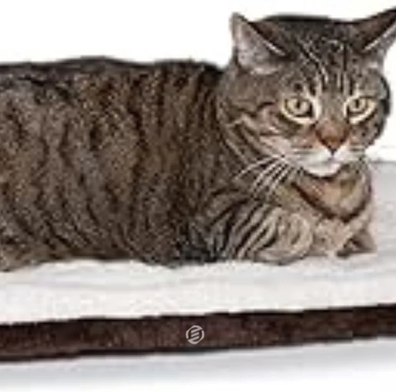 Warmtemat voor Huisdieren - Verwarmingsmat Huisdieren - Warmtedeken voor Honden en Katten - Warmtemat Kat - Warmtemat Hond - Zelfverwarmende Kattendeken by Equivera in Black – product photo