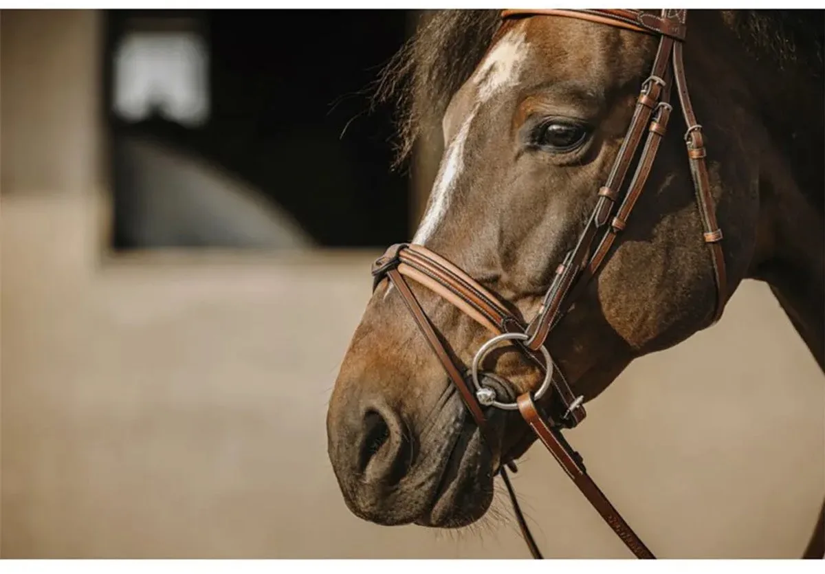 Work Hoofdstellen Bruin Pony von Eric Thomas in Havana – Produktfoto