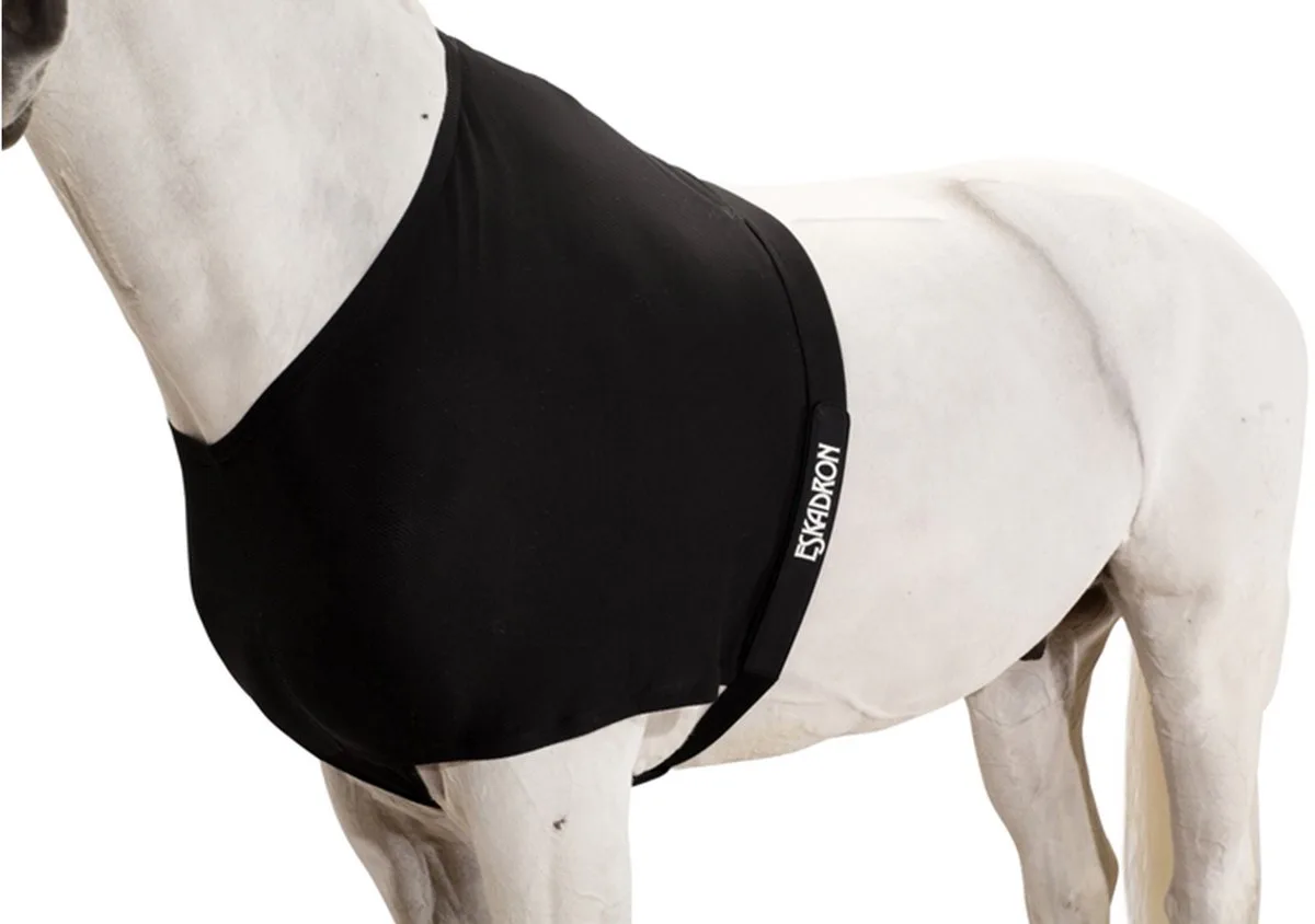 Borstbeschermer Eskadron Dyn Air Mesh - Paard von Eskadron in Schwarz – Produktfoto