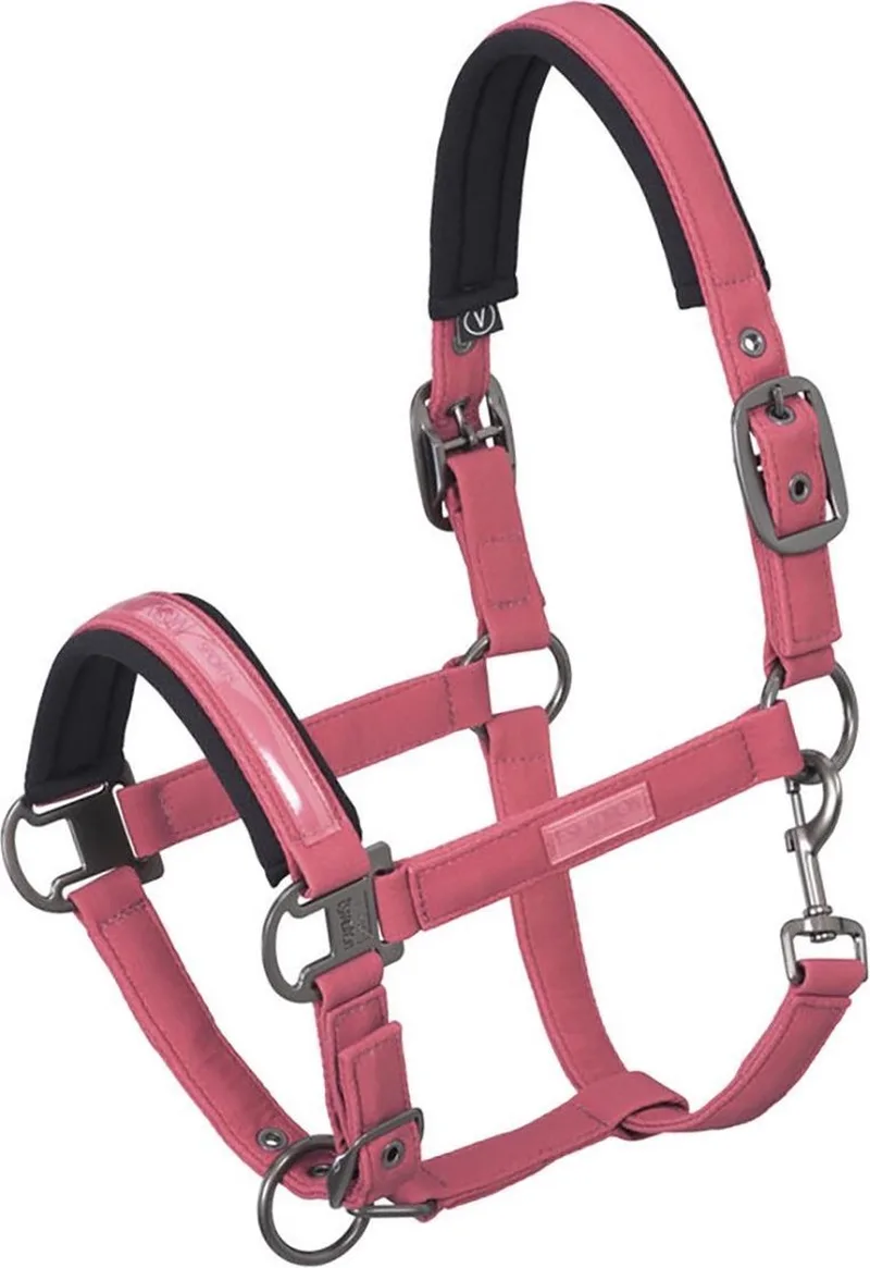 Halster Classic Double Pin Softshell - Pink - pony de Eskadron en Rouge – photo produit