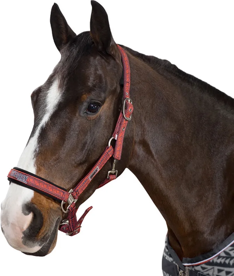 Halster Doorngesp Next Generation Grenadine Ethno - Pony von Eskadron in Rot – Produktfoto