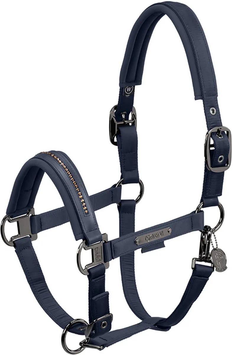 Halster Eskadron Platinum Double Pin Glossy Crystal Donkerblauw von Eskadron in Blau – Produktfoto